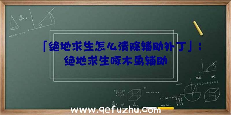 「绝地求生怎么清除辅助补丁」|绝地求生啄木鸟辅助